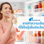 สารทำความเย็นที่ใช้ในตู้เย็นมีอะไรบ้าง